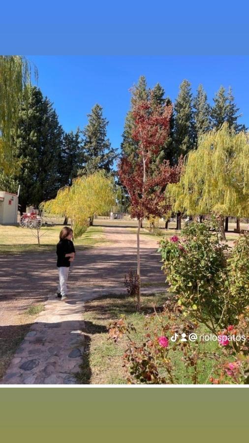 Rio Los Patos Barreal Kültér fotó